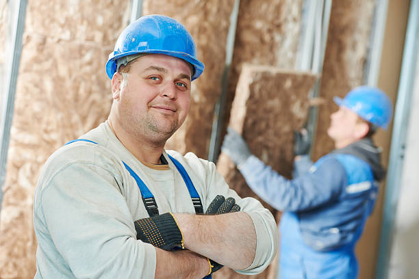Best Insulation Installation Services in Lake Bluff, IL